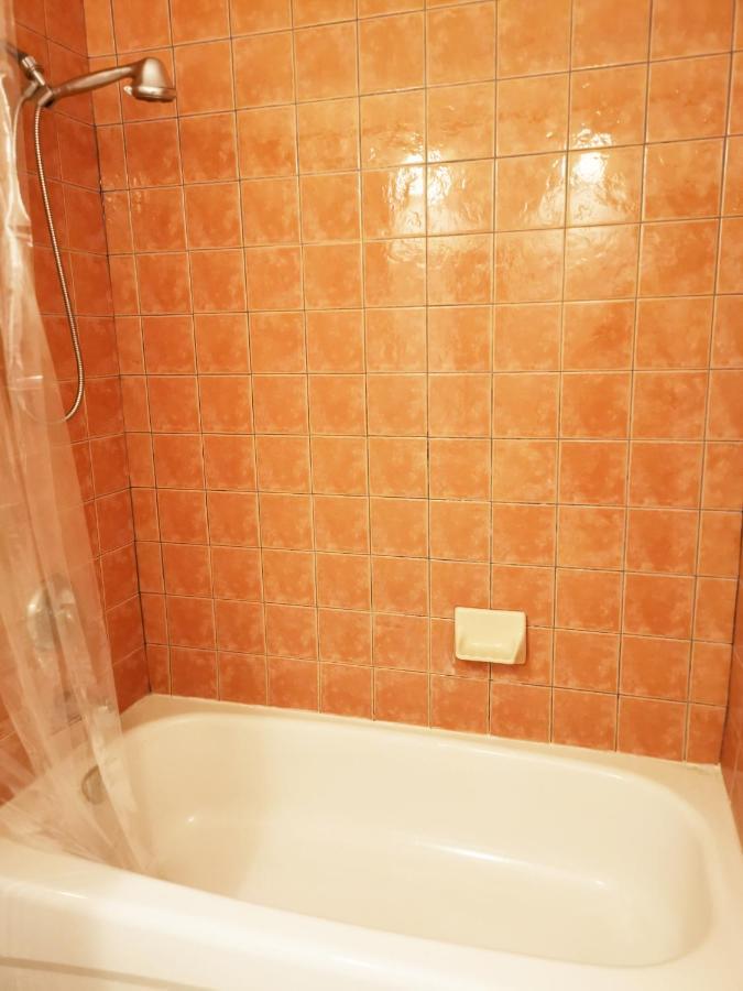Appartamento Cozy Private Rm Heart Of North York Free Parking Full Kitchen Close To Downtown Toronto Esterno foto