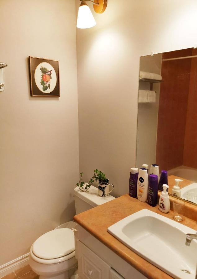 Appartamento Cozy Private Rm Heart Of North York Free Parking Full Kitchen Close To Downtown Toronto Esterno foto